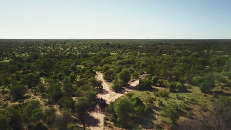 Eine-Drohnenaufnahme-Eines-Safarifahrzeugs,-Das-Auf-Einer-Wildbeobachtungsfahrt-In-Afrika-Die-Sandstraßen-Befährt