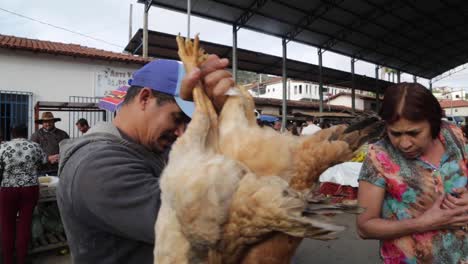 Chicken-sold-at-a-street-market-in-Minas-Gerais,-Brazil