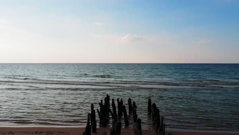 Seagull-sitting-on-the-old-ruined-wooden-posts-on-the-beach