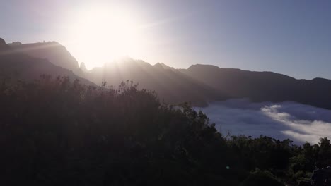 Madeira,-Portugal---Mann-Sitzt-Auf-Einem-Felsen-Auf-Einem-Berggipfel,-Umgeben-Von-Grünen-Pflanzen,-Mit-Blick-Auf-Das-Flauschige-Wolkenmeer-An-Einem-Strahlend-Sonnigen-Tag---Luftaufnahme-Einer-Drohne