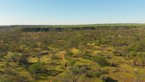 Aerial-rising-shot-of-hikers-walking-towards-valley-of-native-wildflowers,-Western-Australia