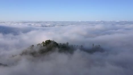 Madeira,-Portugal---Wolkenmeer-Bedeckt-Die-Spitze-Eines-üppigen-Berges---Wunderschöne-Landschaft---Luftaufnahme-Einer-Drohne