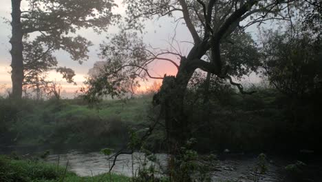 Un-País-De-Ensueño-En-Zlotoryja,-Polonia,-Con-Plantas-Junto-A-Un-Arroyo-De-Agua-Limpia-Durante-La-Puesta-De-Sol---Toma-Panorámica