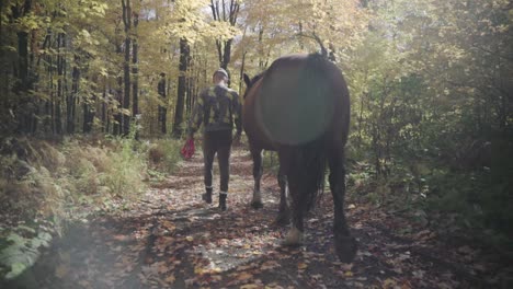 A-man-is-walking-his-horse-in-a-beautiful-forest-in-autumn