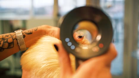 Female-hairdresser-drying-beautiful-blonde-hair