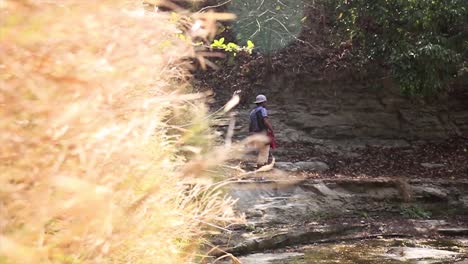 Vista-A-Través-De-Las-Plantas-De-Un-Joven-Caminando-Por-Un-Sendero-Forestal,-Senderos-De-Trekking-A-Través-De-Un-Parque-Ecológico-Nacional