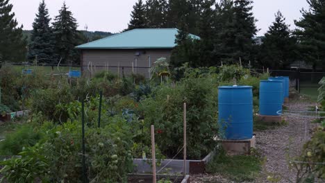 Parcelas-De-Jardinería-Comunitaria:-Varios-Jardines-De-Verduras-Y-Flores-En-Burlington,-Ontario,-Canadá