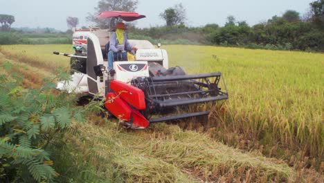 Thai-rice-farmers-using-a-machine-to-collect-and-bag-rice-to-sell