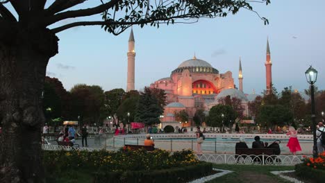 Evening-clip-of-Hagia-Sophia-framed-by-tree-during-the-2020-Covid-pandemic