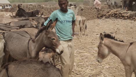 Mercado-De-Agricultores-En-El-Estado-De-Katsina,-En-El-Norte-De-Nigeria