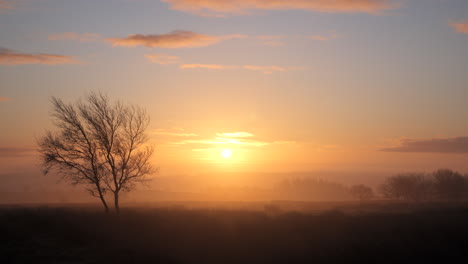 A-man-walking-across-moorland-on-a-British-Autumn-morning-during-sunrise