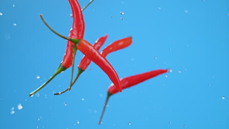 A-bunch-of-small-chillies-flying-and-spinning-wildly-in-a-cooking-show-style-epic-shot