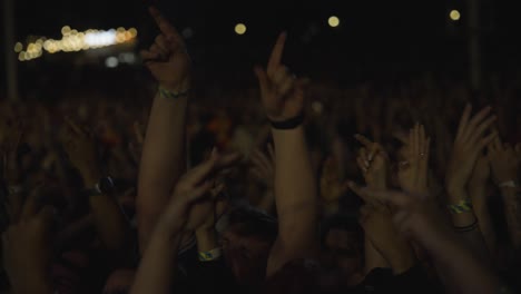 Cheerful-Audience-Crowd-On-The-Concert-Ground-Making-Different-Hand-Signs-In-The-Air