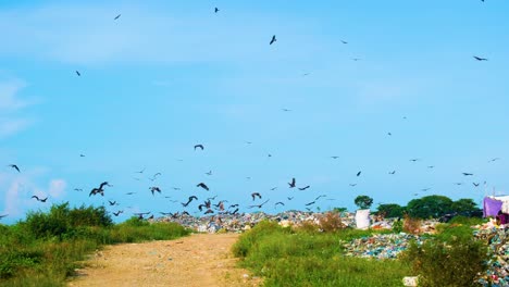 Birds-flying-over-a-vast-landfill-site-in-Bangladesh,-environmental-pollution-and-waste-management-challenges