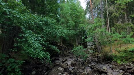 Una-Vista-Serena-De-Un-Arroyo-Forestal-En-Vestmarka,-Noruega