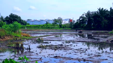 farmer-plowing-the-fields-in-the-afternoon