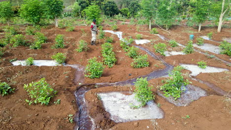 Vista-Aérea-De-Un-Agricultor-Cavando-Su-Tierra-En-Una-Zona-Rural-De-Kenia