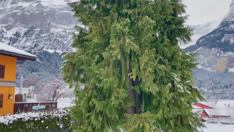 Busy-Mountain-Town-of-Grindelwald-Switzerland-in-Winter-Tourist-Season-|-Asian-Couple