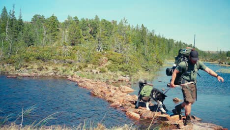 Hombre-Y-Su-Perro-Malamute-De-Alaska-Cruzando-El-Río-En-Indre-Fosen,-Noruega,-Durante-El-Día-(plano-General)