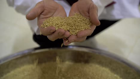 Close-Up-Footage-of-Hands-Holding-Wheat