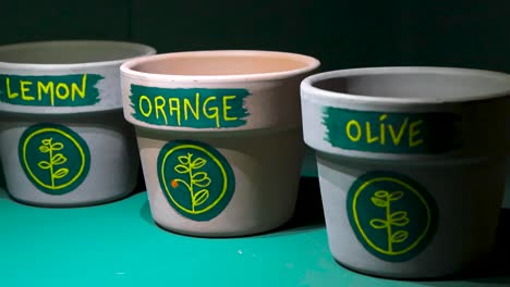 Video-of-three-different-clay-plant-pots-that-have-writing-on-that-says-orange,-lemon-and-olive