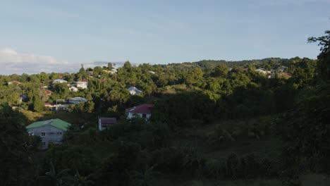 Guadeloupe-village-surrounded-by-trees