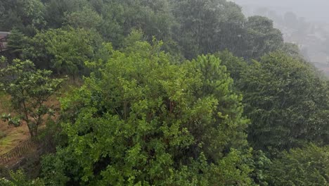 Bosporus,-Brücke,-Schiffe,-Moscheen-Und-Gebäude-Bei-Regnerischem-Und-Bewölktem-Wetter-In-Istanbul