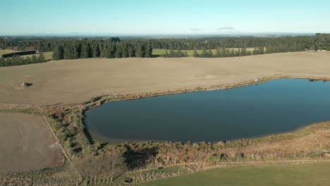 Lago-De-Agua-Dulce-En-Medio-De-Una-Granja,-Christchurch,-Nueva-Zelanda