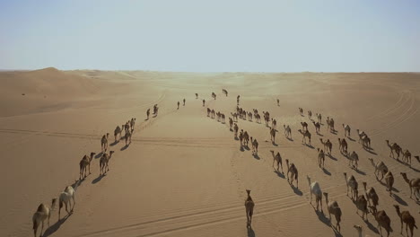 Una-Vista-Aérea-De-Una-Caravana-Cruzando-Un-Desierto.