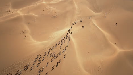 An-aerial-view-of-a-caravan-crossing-a-desert