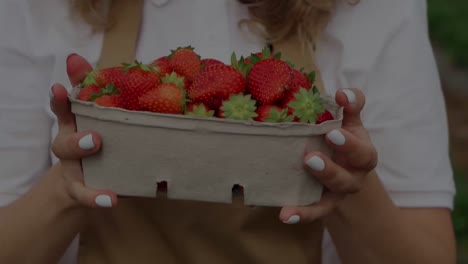 Woman-showing-ripe-red-strawberries-in-paper-box.