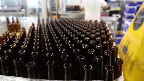 The-distillery-machi-bottling-beer-in-a-storage