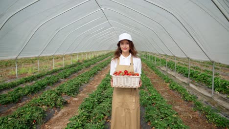 Charming-woman-holding-basket-with-ripe-strawberries.