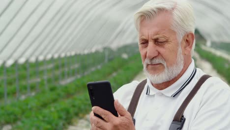 Farmer-searching-information-on-telephone-in-greenhouse.