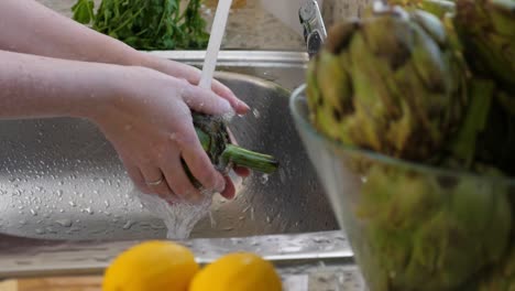 Woman-washing-artichokes-in-stainless-steel-sink-with-metal-faucet.-Cooking-artichokes-at-kitchen