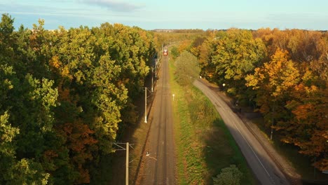 Train-goes-through-autumn-forest.-Aerial-view-from-drone