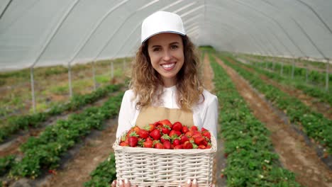 Female-farmer-standing-in-greenhouse-with-basket-strawberry.