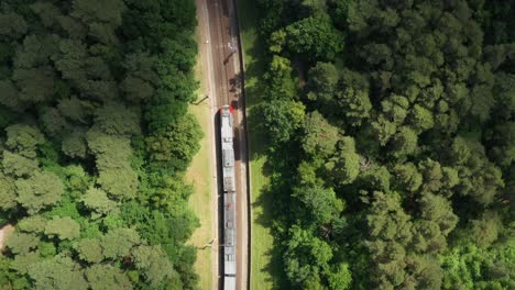 Zug-Fährt-Entlang-Der-Eisenbahn-Durch-Den-Sommerwald.-Luftaufnahme-Von-Der-Drohne