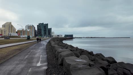 El-Vídeo-Captura-La-Costa-De-Reykjavik-Con-Un-Mar-En-Calma-Y-Un-Cielo-Nublado-Y-Una-Pared-De-Roca-Que-Se-Extiende-Hacia-El-Agua.