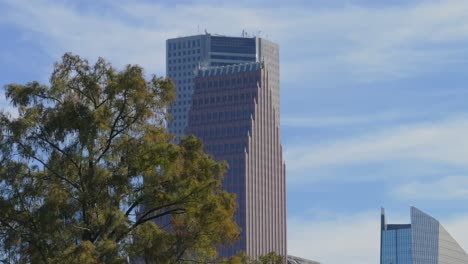 Reveal-of-Houston's-skyscrapers-behind-trees-with-clouds-in-the-background