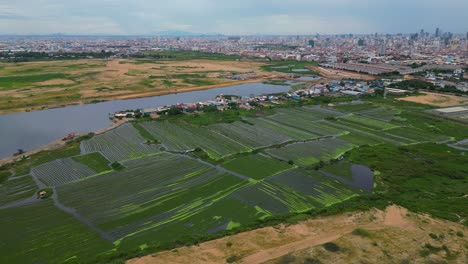 drone-fly-above-Mekong-river-nearby-Phnom-Penh,-Cambodia’s-busy-capital,-aerial-of-agricultural-field-with-modern-skyline-cityscape-at-distance