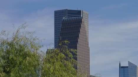 Revelación-Del-Edificio-De-TC-Energy-En-Houston-Detrás-De-Un-árbol