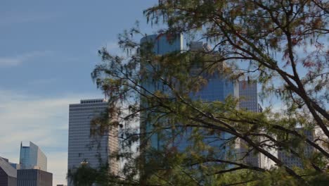 Reveal-of-skyscrapers-behind-trees