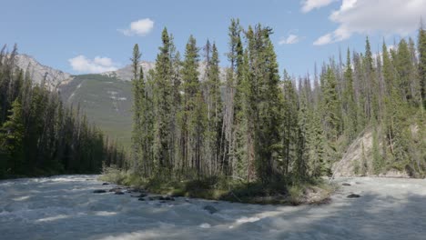 Cataratas-Del-Río-Sunwapta-En-El-Parque-Nacional-Jasper,-Canadá,-Paisaje-Forestal-Natural