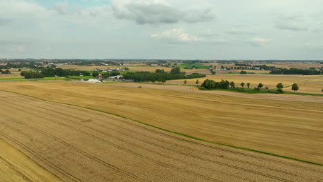 Weite-Luftaufnahme-Von-Ausgedehnten-Goldenen-Feldern,-Die-Sich-Bis-Zu-Einem-Entfernten-Dorf-Erstrecken