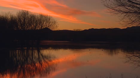 Rio-Grande-Überschwemmungsgebiet-Im-Bosque-Del-Apache-National-Wildlife-Refuge-Bei-Sonnenuntergang-Im-Socorro-County,-New-Mexico