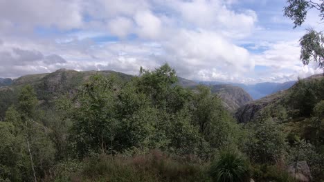 Denso-Dosel-Forestal,-Famoso-Lugar-De-Senderismo-En-Noruega,-Preikestolen