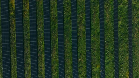 Top-down-drone-shot-of-the-biggest-solar-farm-in-Sweden-outside-Strängnäs,-Stockholm