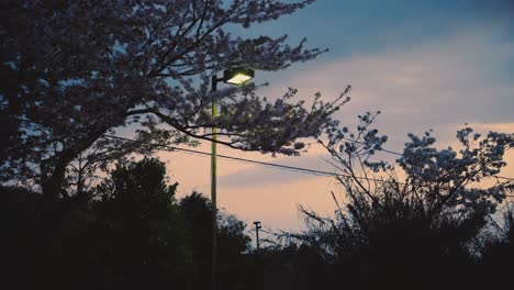 Luces-De-La-Calle-En-Una-Puesta-De-Sol-Ventosa-Cerca-Del-Jardín-Bandoko-En-Wakayama,-Saikazaki,-Japón