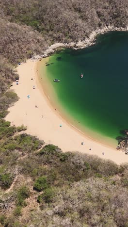 Vertical-aerial-shot-of-pristine-green-beach-in-Huatulco,-Mexico